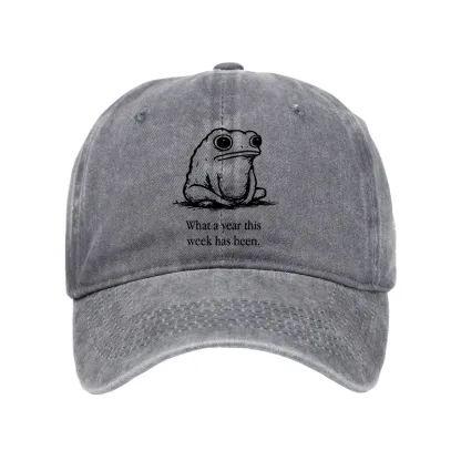 Tokyo-Tiger This Week Feels Like A Whole Year Washed Cap