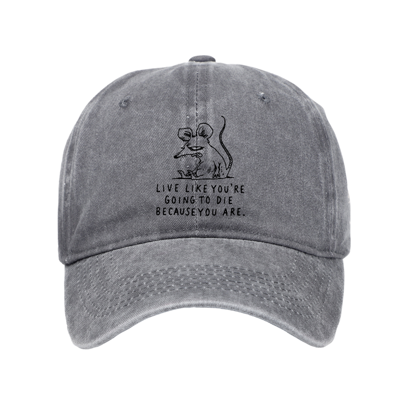 Tokyo-Tiger Funny Meme Sarcastic Rat Life Truth Washed Cap