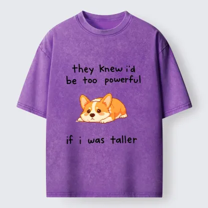 Tokyo-Tiger Funny Short Dog Joke Washed T-Shirt