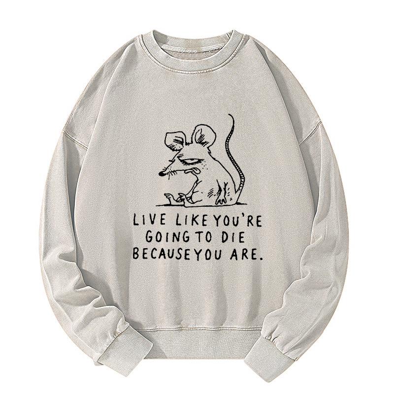 Tokyo-Tiger Funny Meme Sarcastic Rat Life Truth Washed Sweatshirt