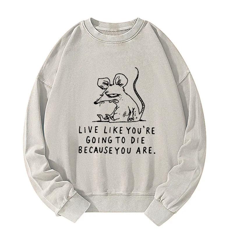 Tokyo-Tiger Funny Meme Sarcastic Rat Life Truth Washed Sweatshirt Sale