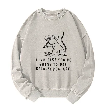 Tokyo-Tiger Funny Meme Sarcastic Rat Life Truth Washed Sweatshirt