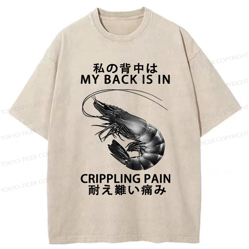 Tokyo-Tiger My Back Is In Crippling Pain Washed T-Shirt