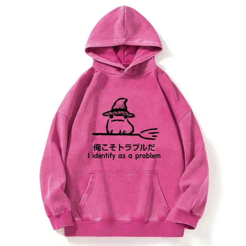 Tokyo-Tiger Mischief Magic Dude Washed Hoodie