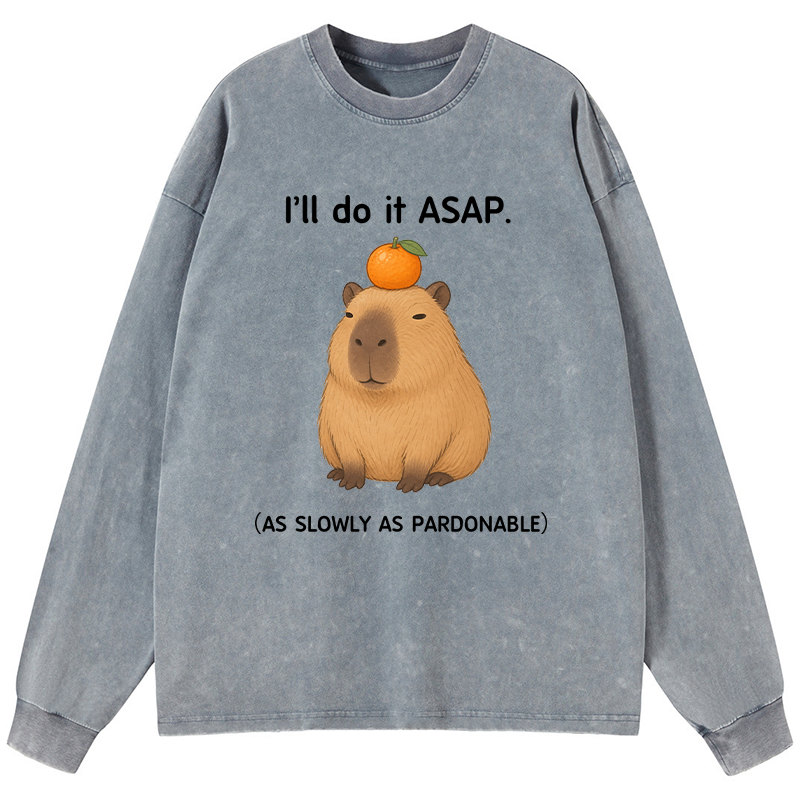 Tokyo-Tiger Slow Task Capybara Meme Washed Long Sleeve T-Shirt