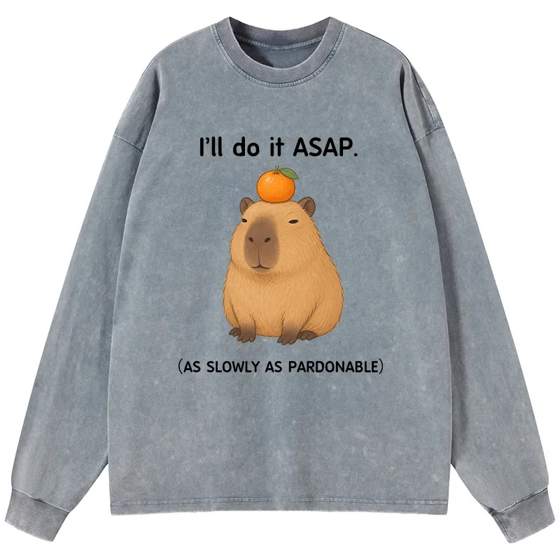 Tokyo-Tiger Slow Task Capybara Meme Washed Long Sleeve T-Shirt Sale