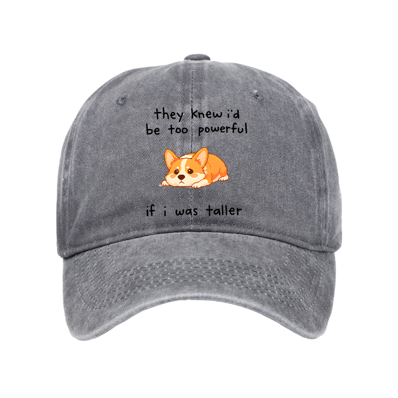 Tokyo-Tiger Funny Short Dog Joke Washed Cap