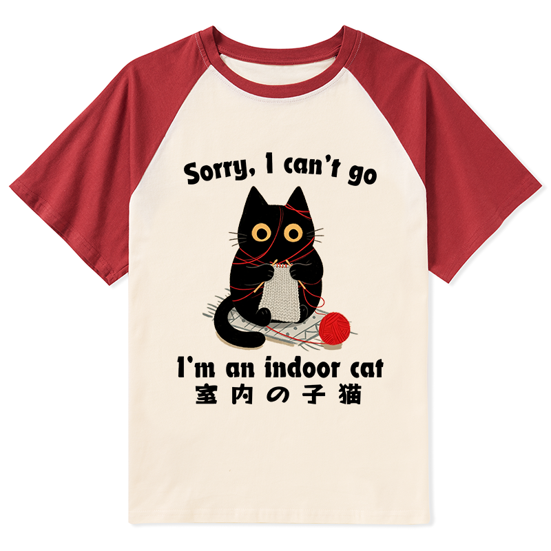 Tokyo-Tiger Indoor Cat Meme Raglan T-shirt