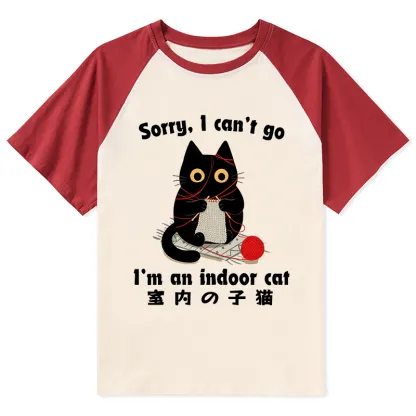 Tokyo-Tiger Indoor Cat Meme Raglan T-shirt