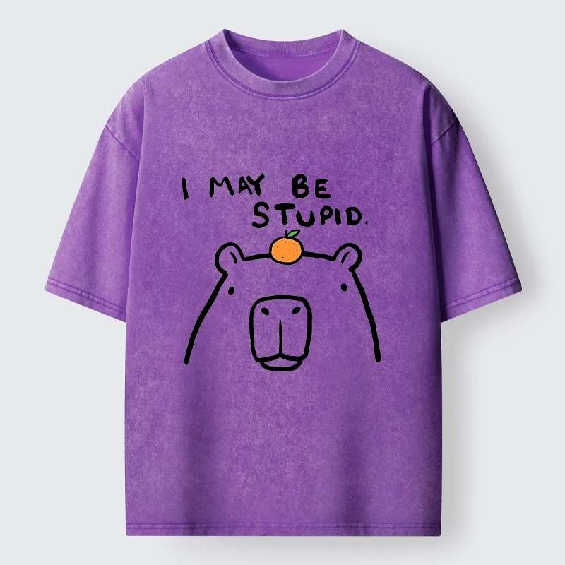 Tokyo‑Tiger Funny Capybara Orange Washed T‑Shirt