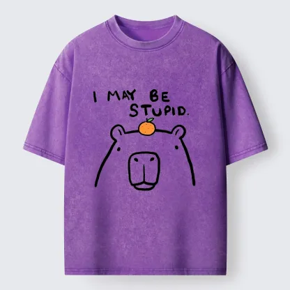 Tokyo‑Tiger Funny Capybara Orange Washed T‑Shirt
