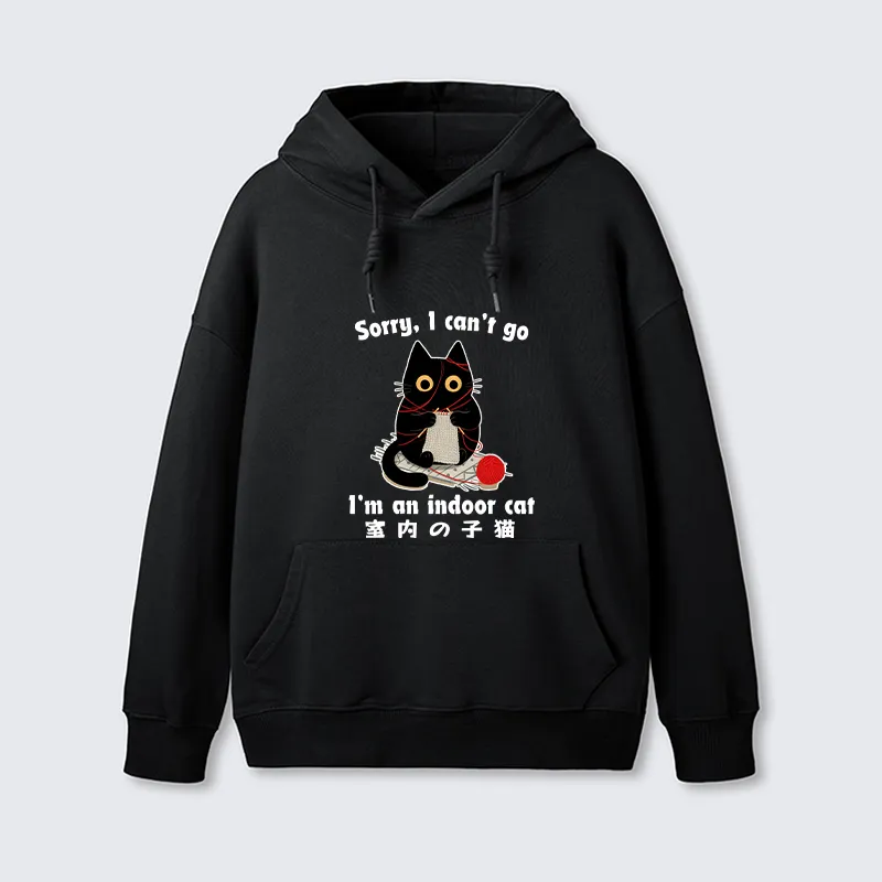 Tokyo-Tiger Indoor Cat Meme Classic Hoodie