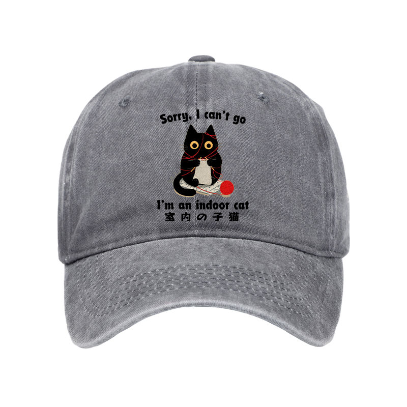 Tokyo-Tiger Indoor Cat Meme Washed Cap