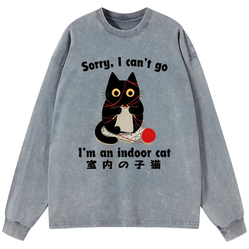 Tokyo-Tiger Indoor Cat Meme Washed Long Sleeve T-Shirt