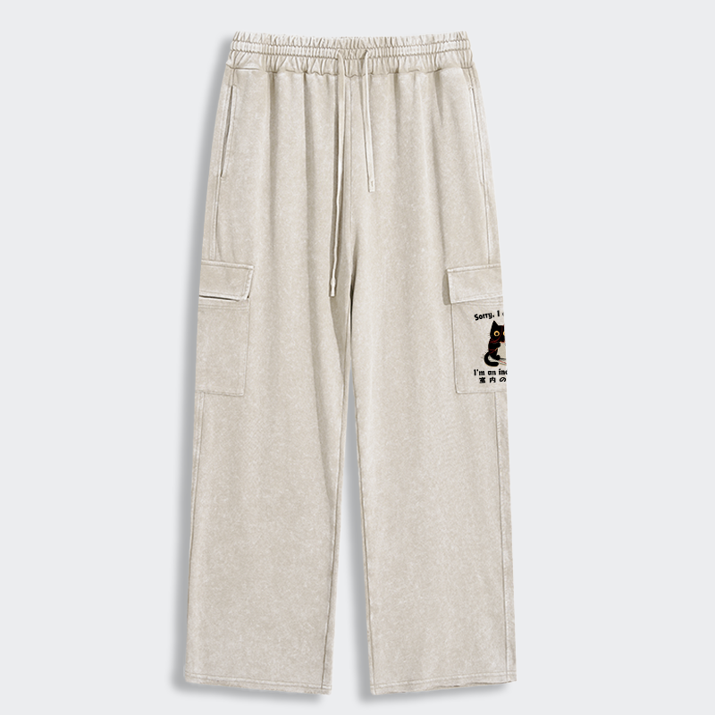 Tokyo-Tiger Indoor Cat Meme Washed Utility Sweatpants