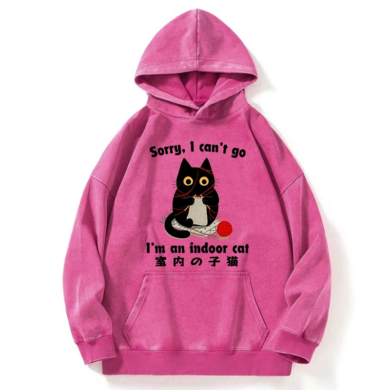 Tokyo-Tiger Indoor Cat Meme Washed Hoodie