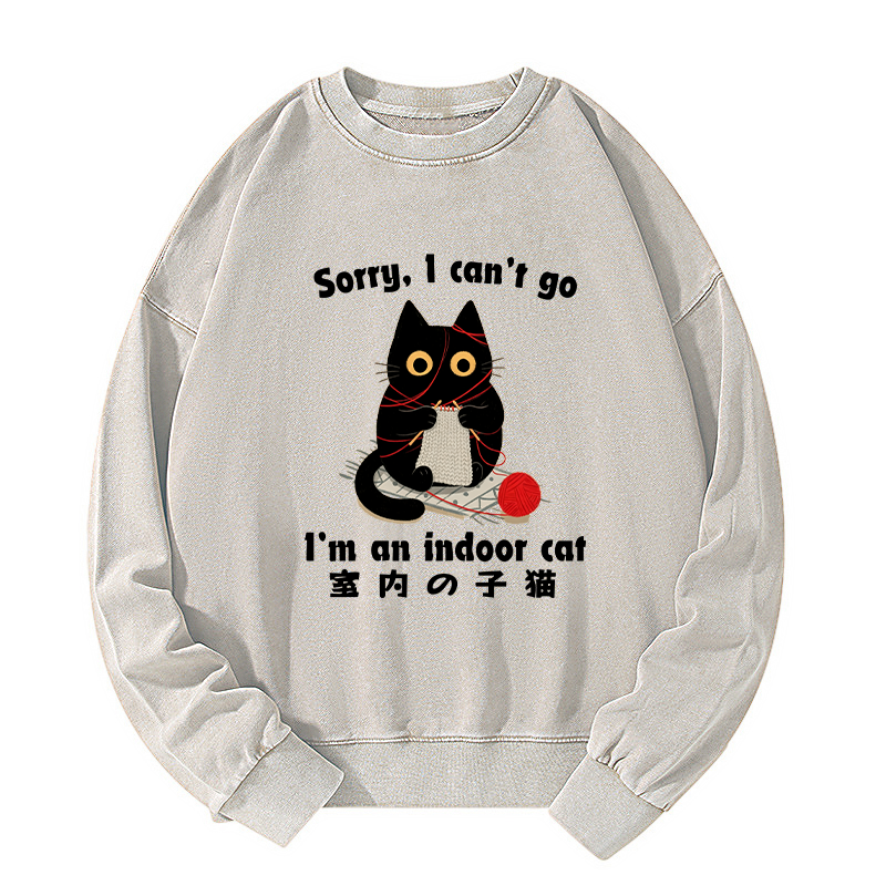 Tokyo-Tiger Indoor Cat Meme Washed Sweatshirt