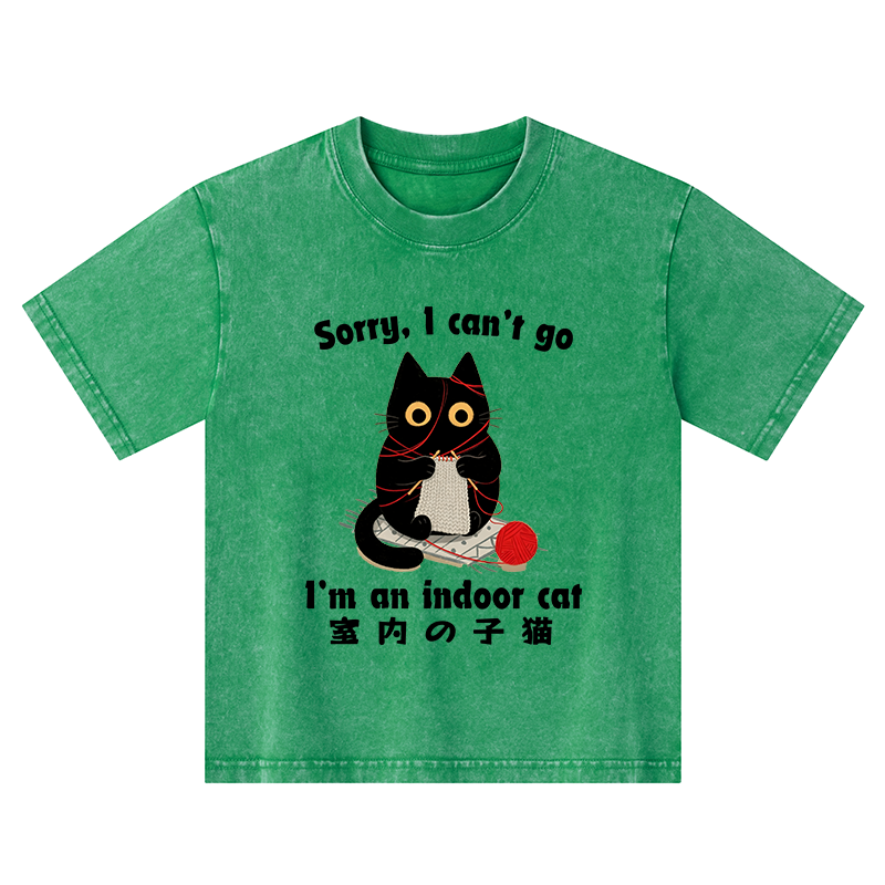 Tokyo-Tiger Indoor Cat Meme Kids Washed T-Shirt