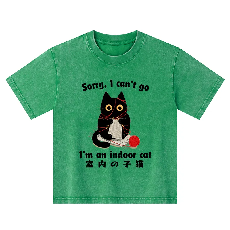 Tokyo-Tiger Indoor Cat Meme Kids Washed T-Shirt