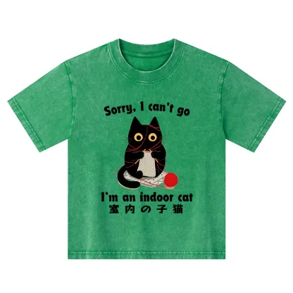 Tokyo-Tiger Indoor Cat Meme Kids Washed T-Shirt