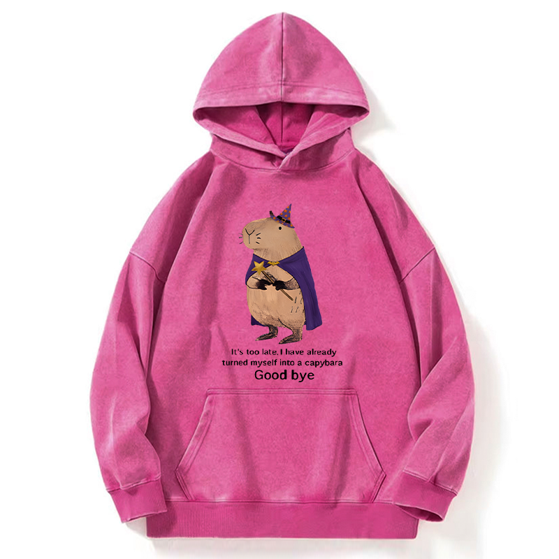 Tokyo-Tiger Funny Wizard Capybara Washed Hoodie