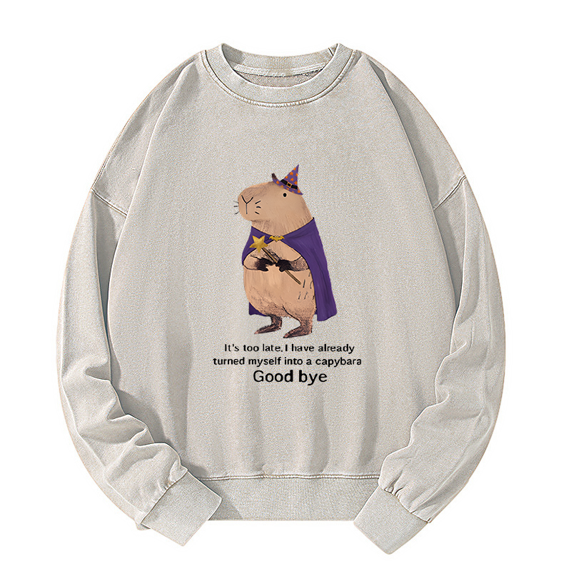 Tokyo-Tiger Funny Wizard Capybara Washed Sweatshirt
