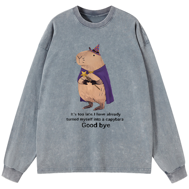 Tokyo-Tiger Funny Wizard Capybara Washed Long Sleeve T-Shirt