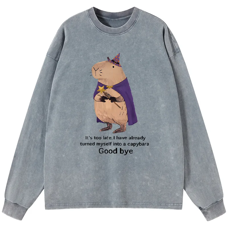 Tokyo-Tiger Funny Wizard Capybara Washed Long Sleeve T-Shirt