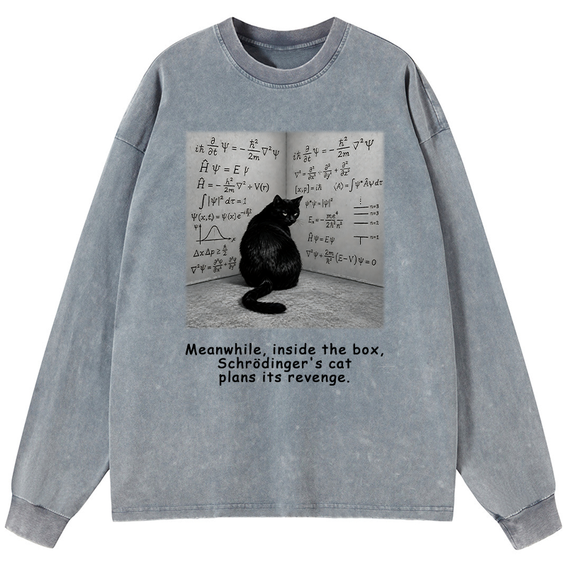 Tokyo-Tiger Box Black Cat Science Meme Washed Long Sleeve T-Shirt