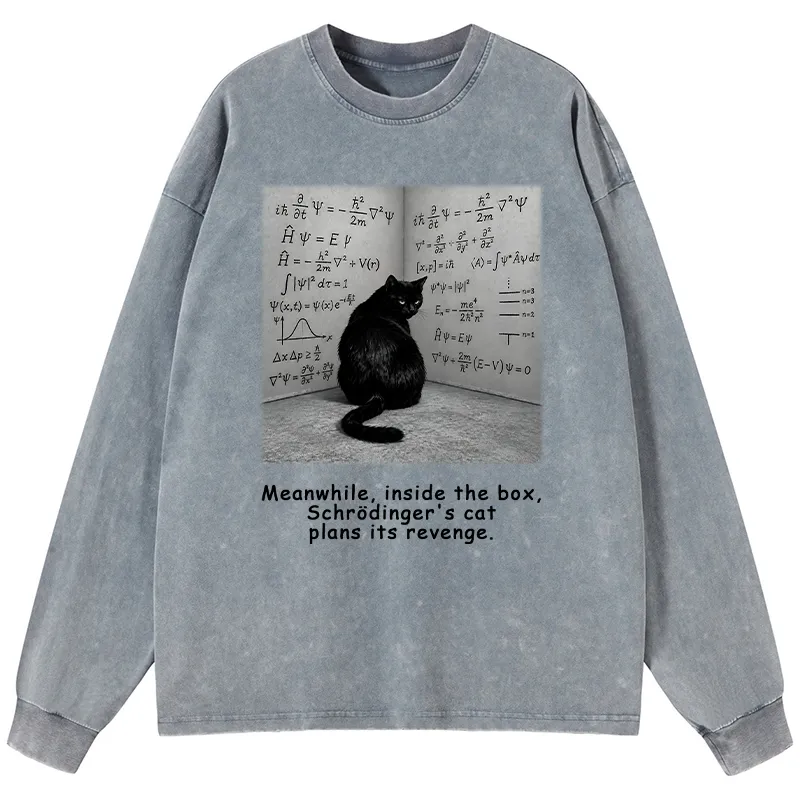 Tokyo-Tiger Box Black Cat Science Meme Washed Long Sleeve T-Shirt