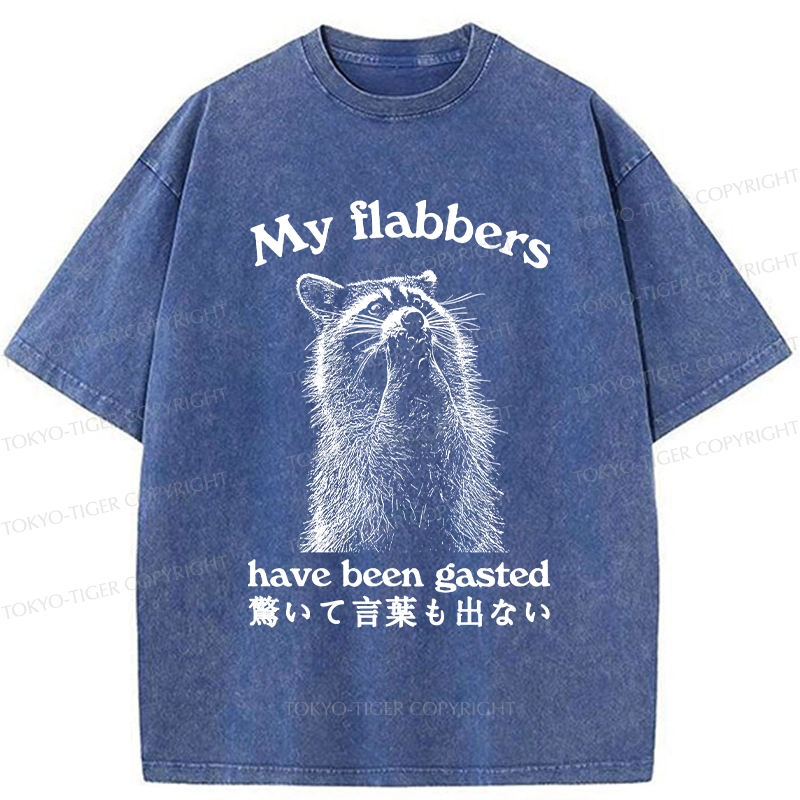 Tokyo-Tiger My Flabbers Have Been Gasted Washed T-Shirt