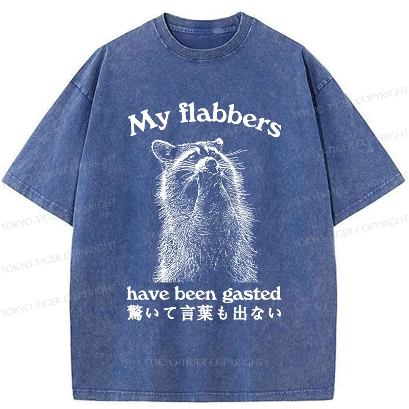 Tokyo-Tiger My Flabbers Have Been Gasted Washed T-Shirt