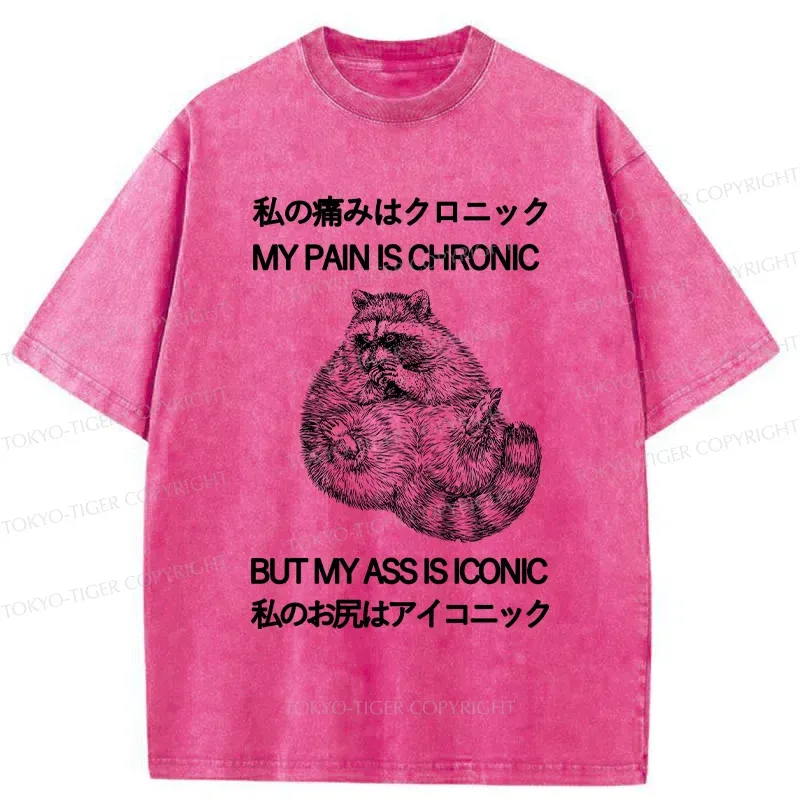 Tokyo-Tiger Raccoon Assis Iconic Washed T-Shirt