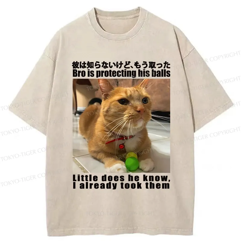 Tokyo-Tiger Bro Is Protecting His Balls Washed T-Shirt