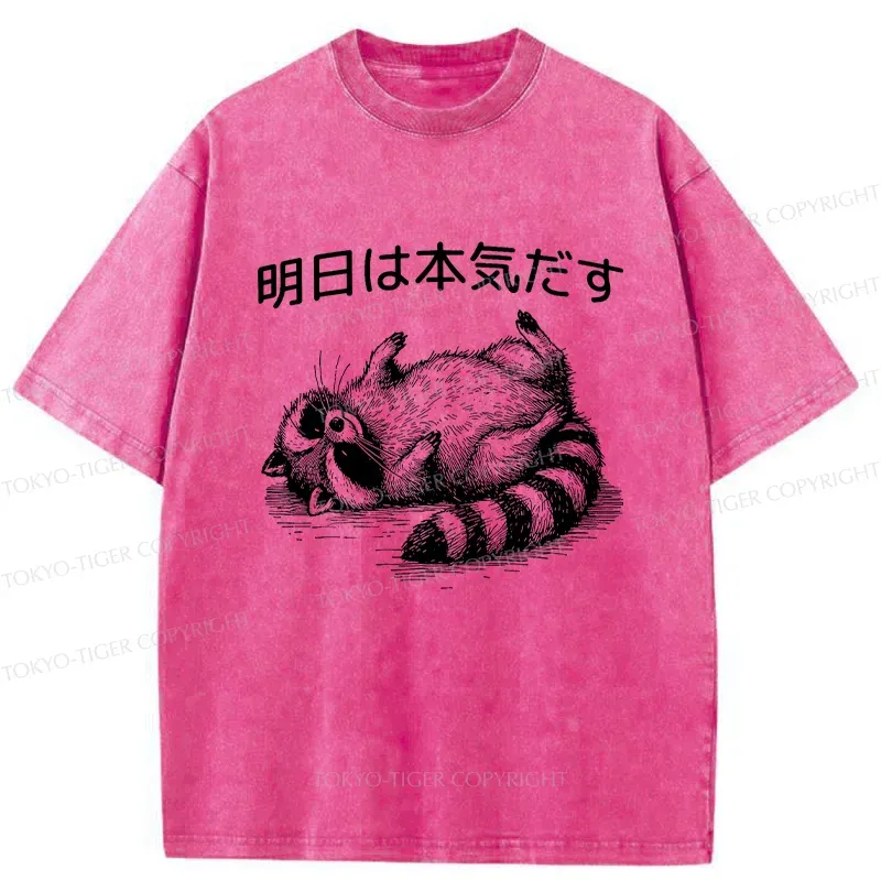 Tokyo-Tiger Lazy Raccoon Washed T-Shirt