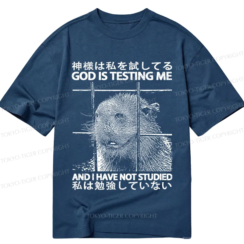 Tokyo-Tiger God Is Testing Me Classic T-Shirt