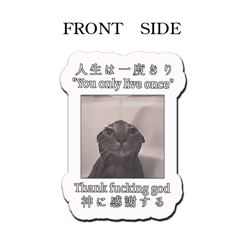 Tokyo-Tiger Funny Melancholy Cat Fridge Magnet