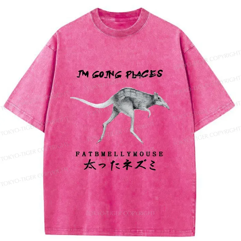 Tokyo-Tiger Long-Legged Mouse Washed T-Shirt