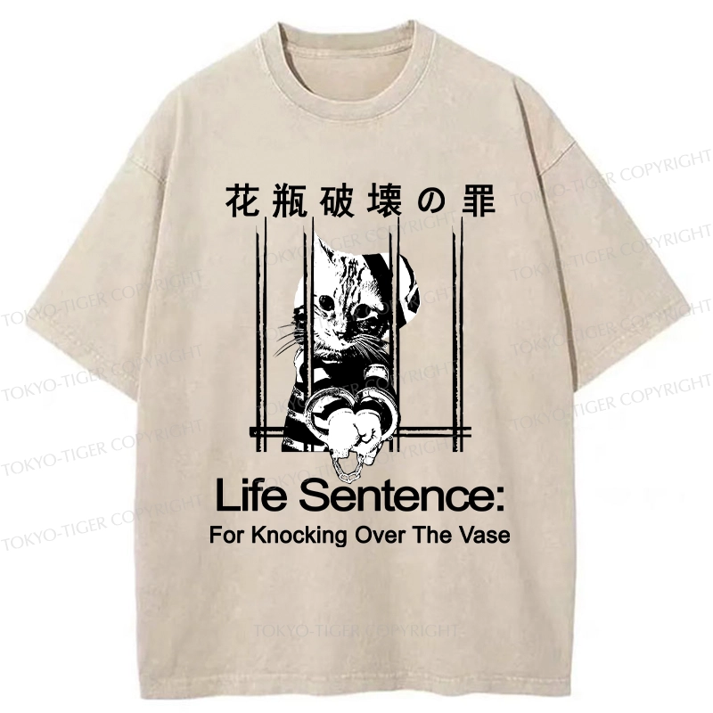 Tokyo-Tiger The Sin Of Vase Breaking Funny Washed T-Shirt