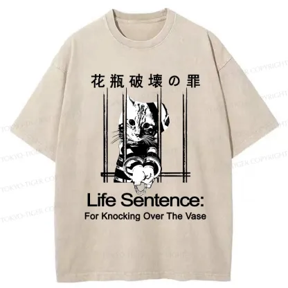 Tokyo-Tiger The Sin Of Vase Breaking Funny Washed T-Shirt