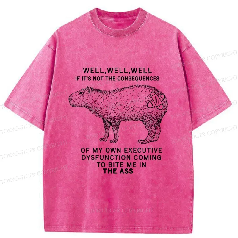 Tokyo-Tiger Stupid Capybara Washed T-Shirt