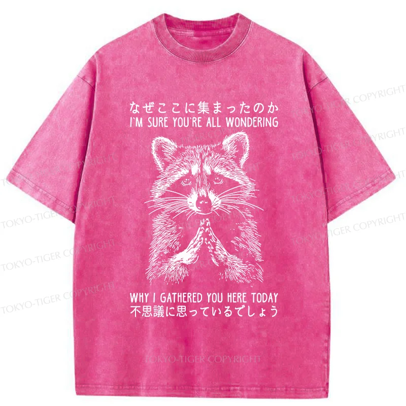 Tokyo-Tiger Something's Going On Raccoon Washed T-Shirt