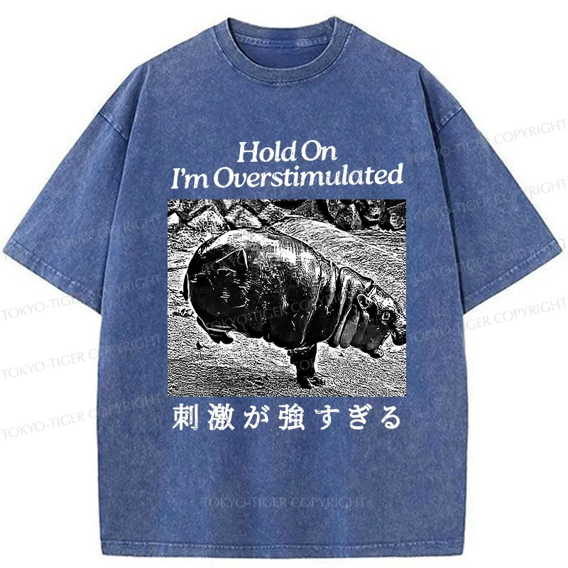 Tokyo-Tiger Overstimulated Moo Deng Washed T-Shirt