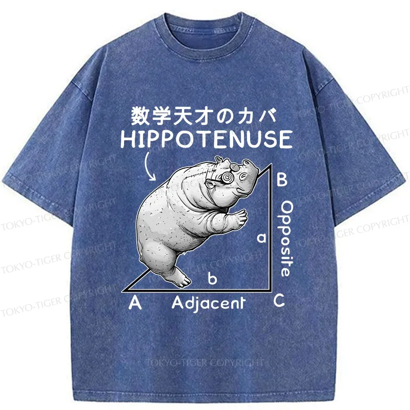 Tokyo-Tiger Mathematical Genius Hippo Washed T-Shirt