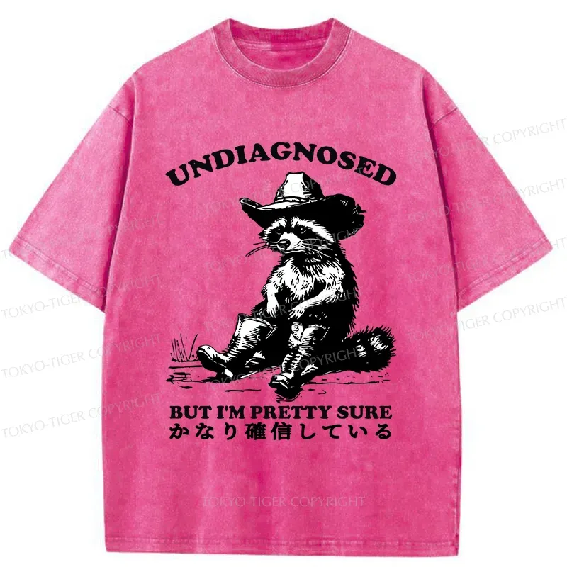 Tokyo-Tiger Confirmed Raccoon Washed T-Shirt