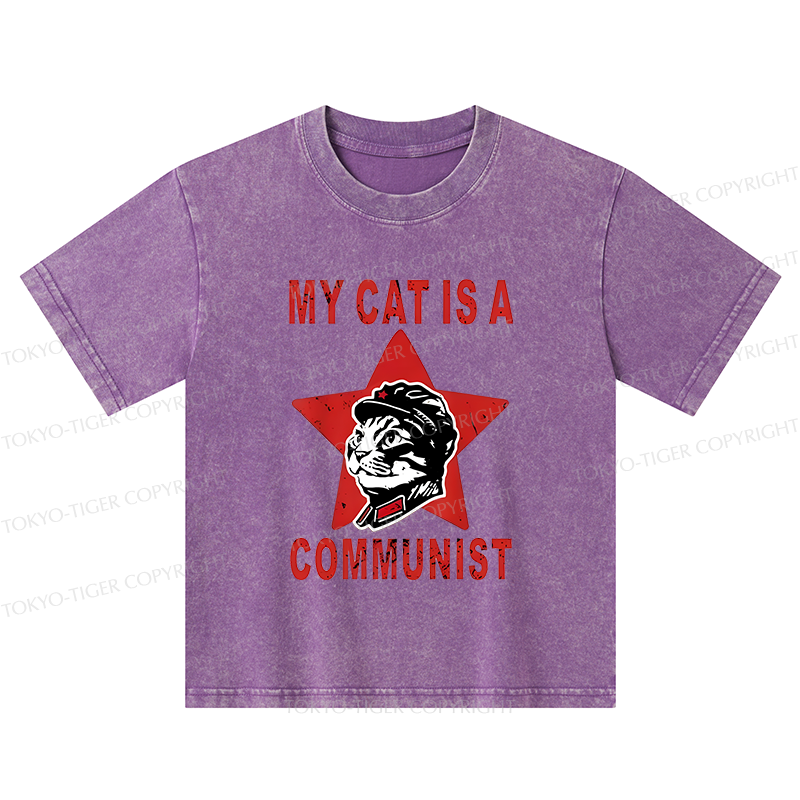 Tokyo-Tiger Funny Cat-ism Kids Washed T-Shirt