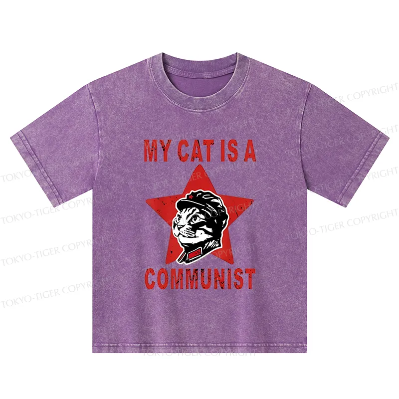 Tokyo-Tiger Funny Cat-ism Kids Washed T-Shirt
