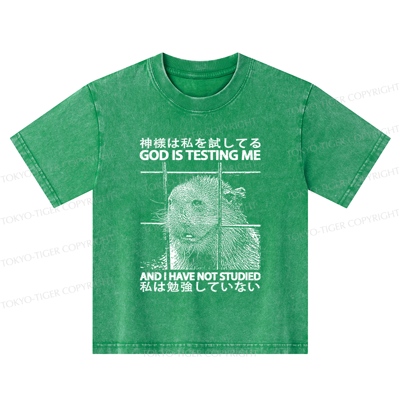 Tokyo-Tiger God Is Testing Me Kids Washed T-Shirt