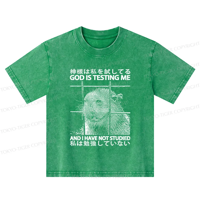 Tokyo-Tiger God Is Testing Me Kids Washed T-Shirt
