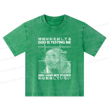Tokyo-Tiger God Is Testing Me Kids Washed T-Shirt